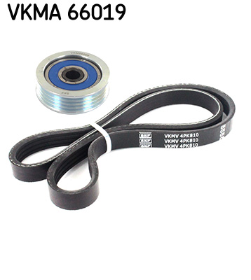 V-Ribbed Belt Set - VKMA 66019 SKF